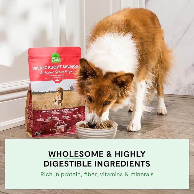 Open Farm, Ancient Grains Dry Dog Food, Protein-Rich & Nutrient Dense, 90% Animal Protein Mixed with Non-GMO Fruits, Veggies and Superfoods, Homestead Turkey Recipe, 22lb Bag