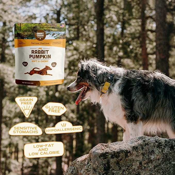 Smart Cookie All Natural Dog Treats - Rabbit & Pumpkin - Training Treats for Dogs with Allergies or Sensitive Stomachs - Soft Dog Treats, Grain Free, Chewy, Human-Grade, Made in USA - 5oz, Pack of 3