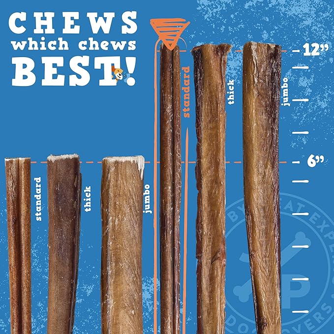 Jack&Pup 12 Inch Bully Sticks for Medium and Large Dogs (10 Pack) Standard Thickness, Dog Chew, Single Ingredient Bully Stick