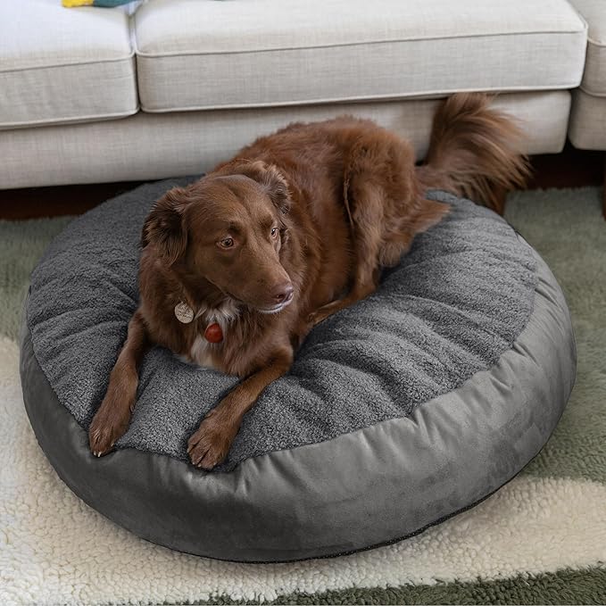 JAXX Robbi Dog Bed Bean Bag – Round Bed with Machine Washable Cover and No-Slip Base - Supportive Memory Foam for Senior Dogs & Joint Pain Relief - Ultimate Comfort & Luxury - Medium, Grey/Charcoal
