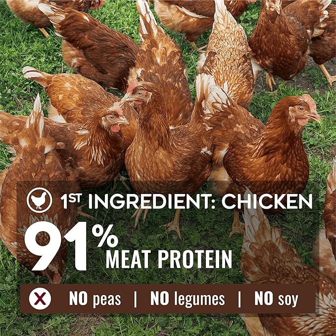 Nature’s Logic Pure Naturals™ 100% Natural Chicken Recipe Synthetic-Free Dry Dog Food, 4.4 lbs