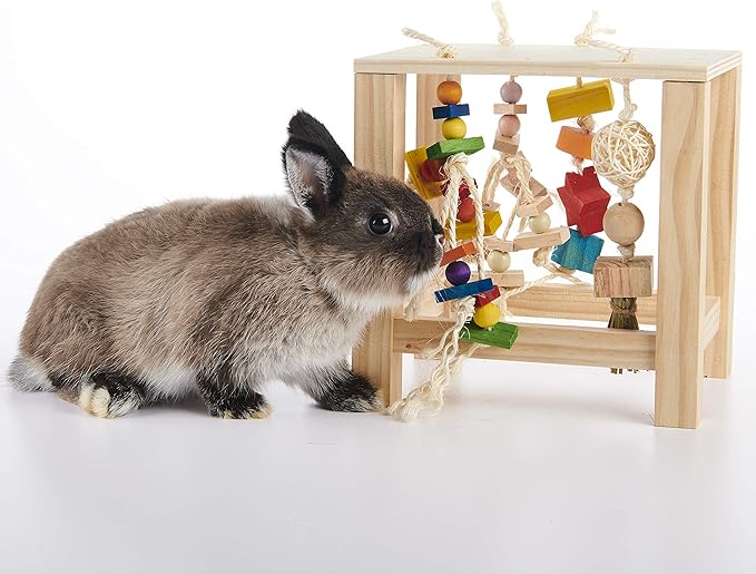 Oxbow Enriched Life Play Table, Rabbit Toys, Guinea Pig Toys, Enrichment for Bunny, Guinea Pig, Hamster, Rabbit, Chinchilla, Rat, Chinchilla Cage Accessories, Small Pet Accessories for Cage