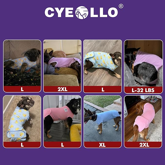 cyeollo Dog Surgery Recovery Suit Soft Breathable Female Male Pet Bodysuit for Spay, Neuter, Surgical Recovery Shirt for Small Medium Large Dogs, Purple, XL