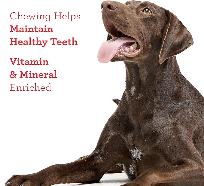 Dreambone Churro-Style Dog Sticks, Treat Your Dog to a Chew Made with Real Chicken 14 Count (Pack of 1)