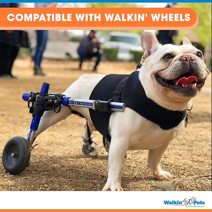 Front Dog Vest Harness | No Pull Harness | Designed for Small Dogs with Broad Chests | Compatible with Dog Wheelchair
