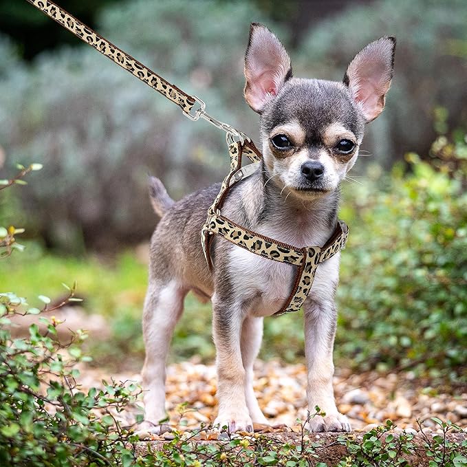 Mile High Life Leopard Dog Harness Collar Leash Set, Adjustable No Pull Dog Halter Harness for Small Breed Dogs, Easy Control for Training Walking (Brown, M Chest 15"-21", Neck 13"-17")