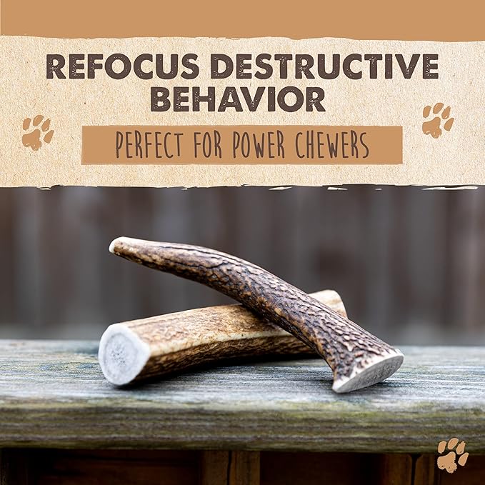 Mighty Paw Split Elk Antlers for Dogs (Sourced in The USA) | 2 Whole Monster 8"+ Long Lasting Bones for Aggressive Chewers - Naturally Shed Split Deer Antler for Dogs - Low Odor Chews (Pack of 2)