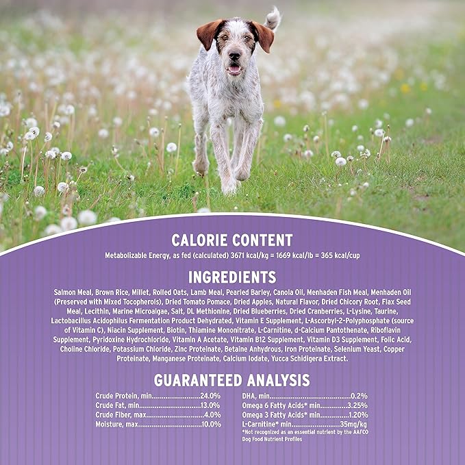Annamaet Original Option Formula Dry Dog Food, 24% Protein (Salmon & Brown Rice), 25-lb Bag
