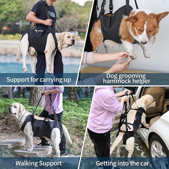 ETIAL Dog Lift Harness for Senior Dogs, Pet Support & Rehabilitation Dog Lift Sling Carrier, Adjustable Dog Support Vest Breathable Straps for Injured Old Disabled Dogs Weak Feet Arthritis Surgery