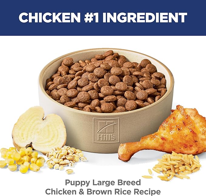 Hill's Science Diet Large Breed Puppy Food, DHA to Support Healthy Development, Chicken & Brown Rice Dry Dog Food, 15.5 lb. Bag
