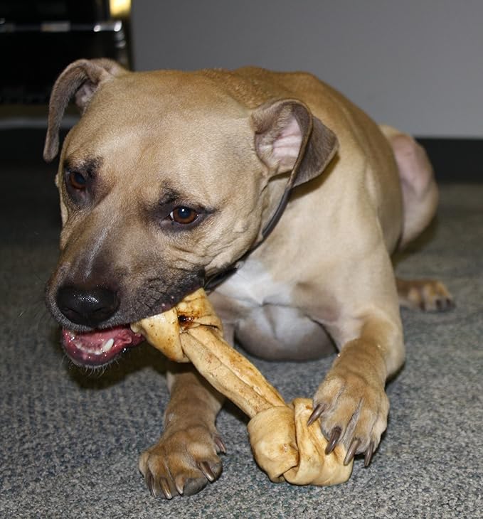 Healthy Beefhide Rawhide Dog Bones - Raw Hide Chews Dog Treats Pack of 3 Pastrami Flavored Rawhide Bones (Medium Dogs 55 LBS and Under)