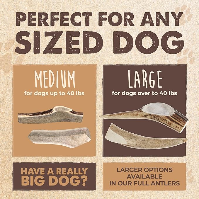Mighty Paw Split Elk Antlers for Dogs (Sourced in The USA) | 2 Pack, Large 7"+ Long Lasting Bones for Aggressive Chewers - Naturally Shed Split Deer Antler for Dogs - Low Odor Chews