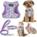 GAMUDA Small Dog Harness Collar and Leash Set, Step in No Chock No Pull Soft Mesh Adjustable Dog Vest Harnesses Plaid Reflective for Dogs Puppy Cats Kitten Rabbit (Purple Flower, XS)