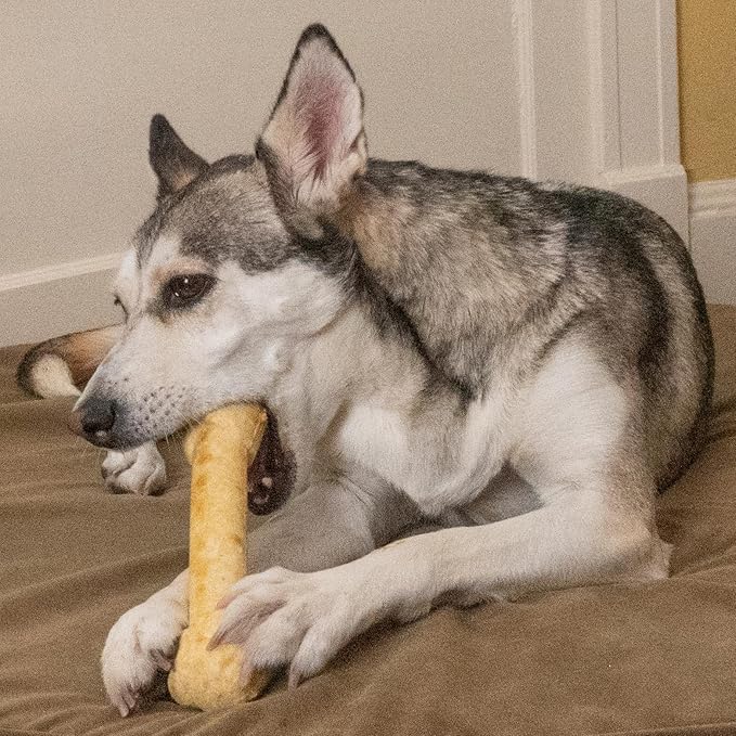 Fieldcrest Farms Nothin’ to Hide Ultra Knotted Bones – Collagen-Based Rawhide Alternative Dog Chews, Chicken Flavor, Highly Digestible for Aggressive Chewers up to 35 lbs, 9-Inch, 2 Pack