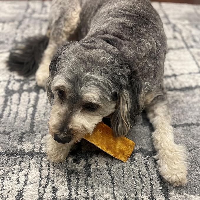 Fieldcrest Farms Nothin’ to Hide Flip Chips – Collagen-Based Rawhide Alternative Dog Chews for Moderate Chewers Up to 35 lbs, Highly Digestible, Supports Joints & Skin, Fresh Salmon Flavor, 8 Chips