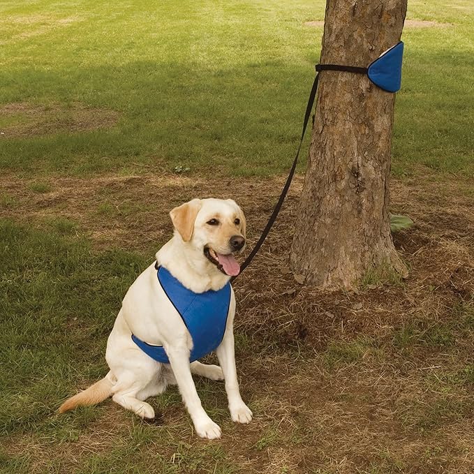 Guardian Gear Nylon Lift & Lead 4-in-1 Dog Harness, XXX-Large, Blue