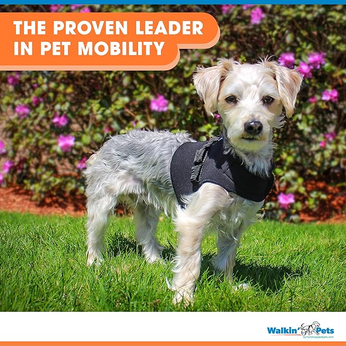 Front Dog Vest Harness | No Pull Harness | Designed for Small Dogs with Broad Chests | Compatible with Dog Wheelchair