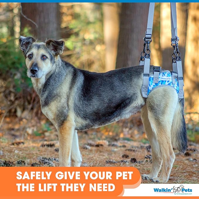 Walkin’ Warrior Rear Dog Harness for Mobility, Adjustable Handles, Rear Leg Dog Harness for Senior Dogs and Pets Recovering from Surgery
