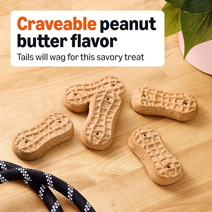 Amazon Basics Crunchy Dog Biscuits Peanut Butter Flavor Dog Treats 5 lb. Box