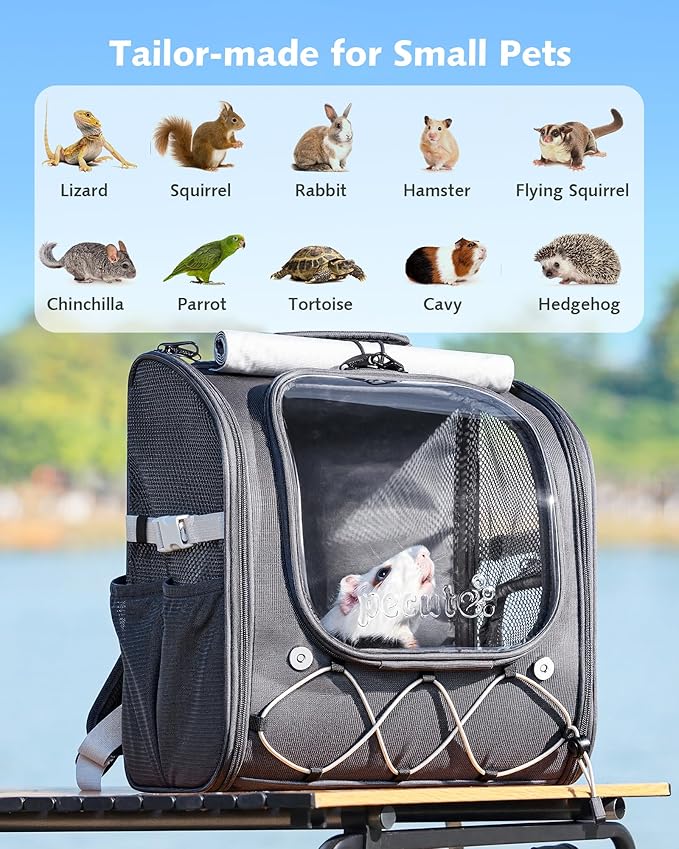 Pecute Small Pet Carrier, Breathable Small Animal Carrier with Transparent Bubble & Steel Frame, Safety Lock for Hamster, Rabbit, Bearded Dragon, Guinea Pig, Parrot, Ideal for Hiking, Vet Visits, Gray