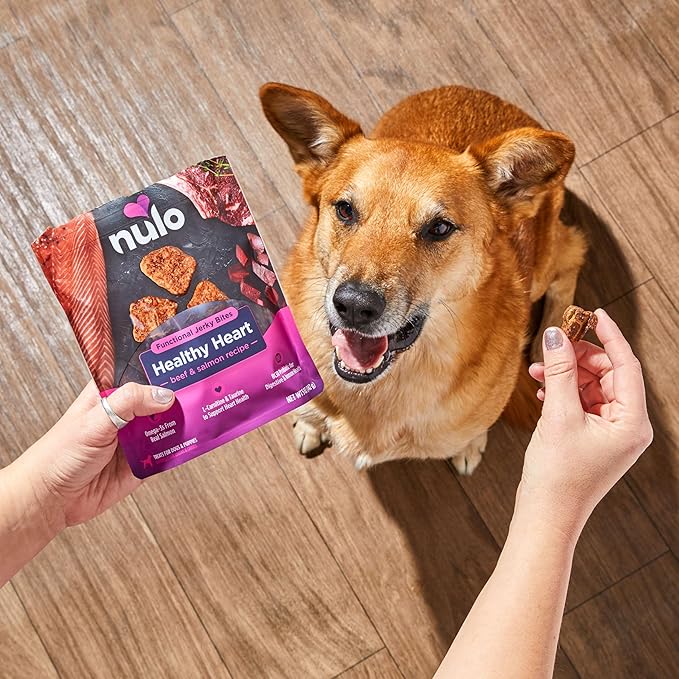 Nulo Functional Jerky Healthy Heart Beef & Salmon Dog Treats 5 OZ Bag