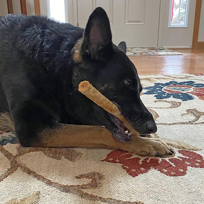 Fieldcrest Farms Nothing to Hide Natural Rawhide Alternative Large 10'' Rolls for Dogs - 3 Pack (6 Chews) Premium Grade Easily Digestible Chews - Great for Dental Health (Chicken)
