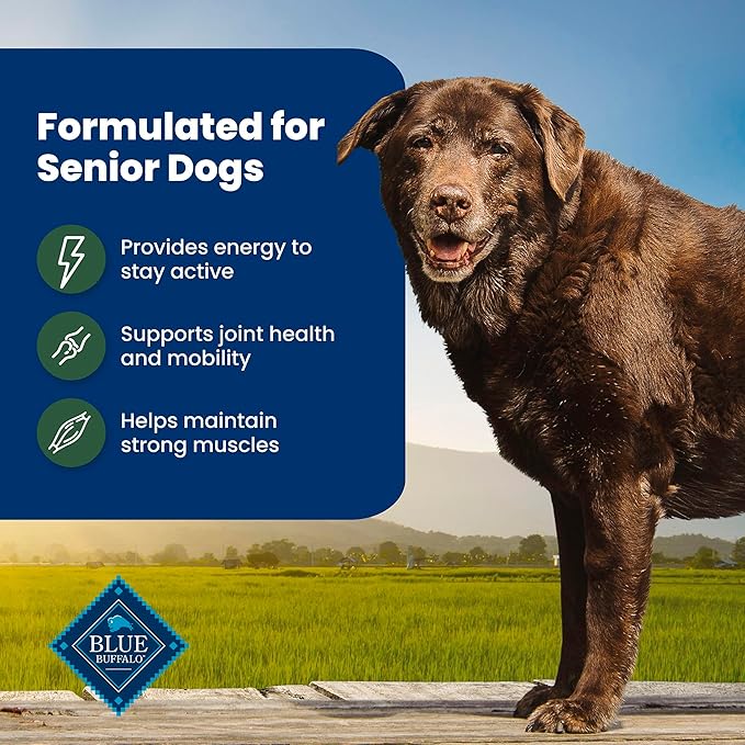Blue Buffalo Life Protection Formula with LifeSource Bits, Senior 7+ Dry Dog Food, Lamb and Brown Rice Recipe, Natural Food for Dogs, 15 lb. Bag