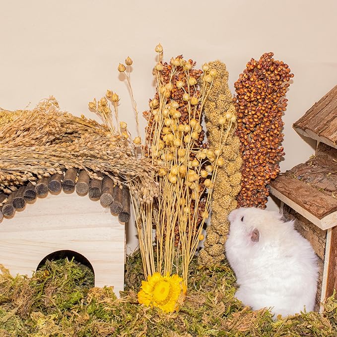 Hamster Organic Sprays Set = Wheat + Flax + Yellow Millet + Panicle Millet, Pet Habitat Bedding Decor, Natural Hamster Chews Accessories Supplies, for Gerbil, Mice, Guinea Pig, Chinchilla, 4 sprays