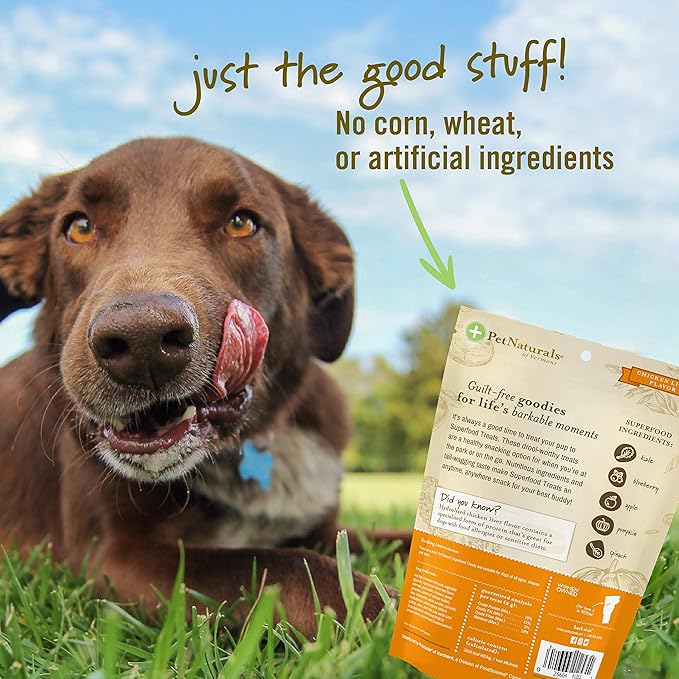 Pet Naturals Superfood Dog Treats with Blueberry and Kale - No Corn, Wheat or Artificial Ingredients - Bacon Flavor, 100 Chews (Pack of 1)