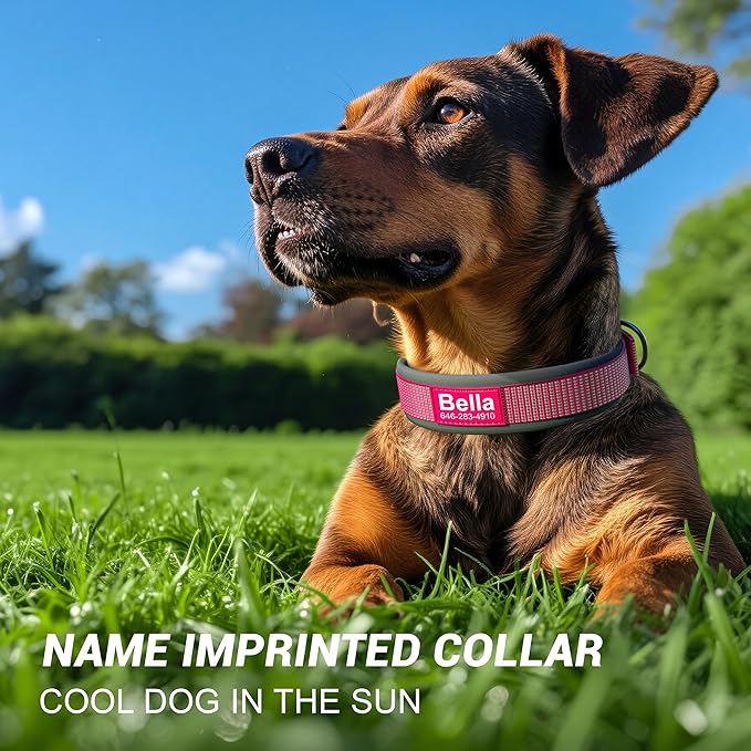 Personalized Dog Collar with Name & Phone Number - Durable Metal Buckle, Ultra-Visible Fully Reflective, and Wide Comfort-Fit Padded Neoprene for Small, Medium, Large Dogs and Cats