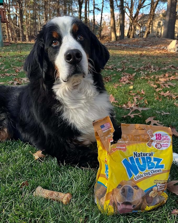 Nylabone Nubz Natural Dog Chews, Peanut Butter Flavor Treats for Large Dogs, Long Lasting Dog Chew Bones Made in the USA, Rawhide Free, for Dogs Over 30 lbs. (18 Count)