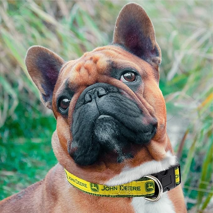Old Version - Pets First John Deere Pet Collar. Licensed Dog Collar, Small Collar for Dogs & Cats. A Shiny and Colorful Cat Collar & Dog Collar. Contractors & Fans of Tools, Team Color