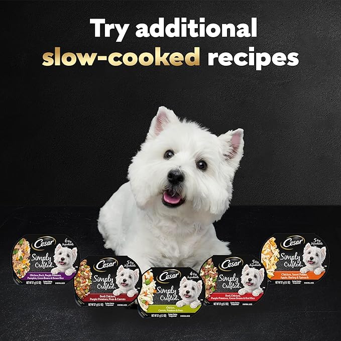 Cesar Simply Crafted Adult Wet Dog Food Toppers for Dry Food,Chicken,1.3 oz Tubs,24 Count (Pack of 2)