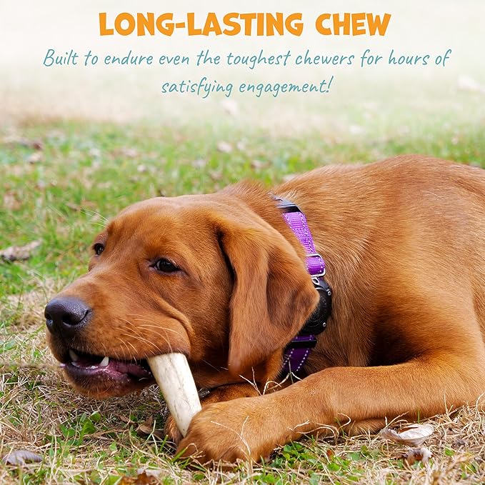 Whole Deer Antler for Dogs - Long Lasting Chews for Aggressive Chewers - Single Ingredient Odorless Treat for Small & Medium Dogs - 4-5" (1ct)