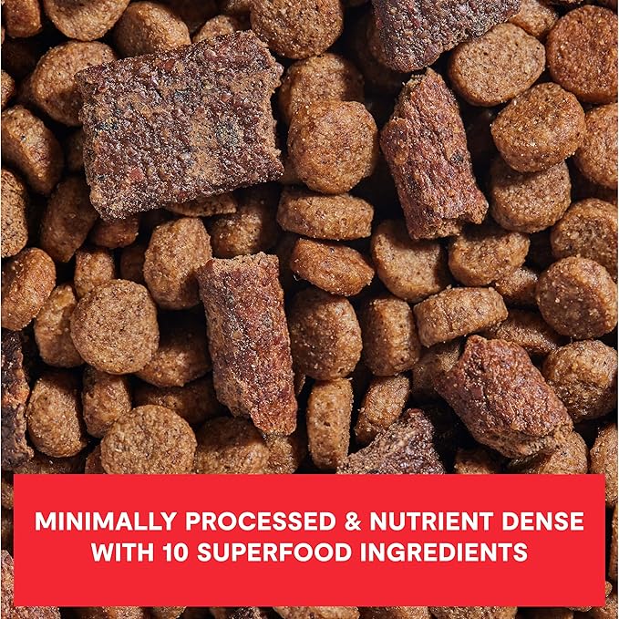 Open Farm, Epic Blend High Protein Dry Dog Food, Probiotic Coated & Bone Broth Infused Kibble with Air Dried Meat & Organs, Minimally Processed & Nutrient Dense, Beef & Superfood Recipe, 3.5lb Bag