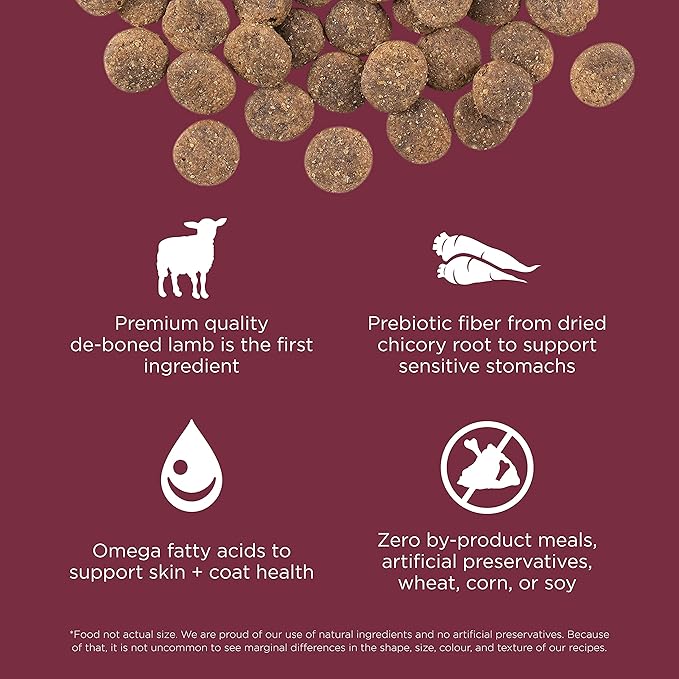 Go! Solutions Sensitivities Limited Ingredient Lamb Grain-Free Dry Dog Food, Chicken-Free Kibble Made by Experts for Sensitive Stomachs & Food Allergies, for Puppies, Adults, & Seniors, 12 lb Bag