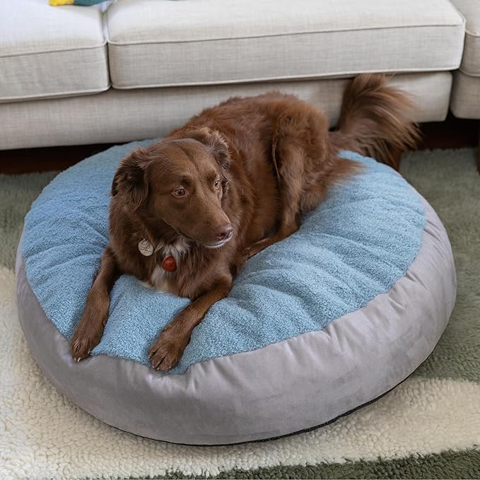 JAXX Robbi Dog Bed Bean Bag – Round Bed with Machine Washable Cover and No-Slip Base - Supportive Memory Foam for Senior Dogs & Joint Pain Relief - Ultimate Comfort & Luxury - Medium, Blue/Grey