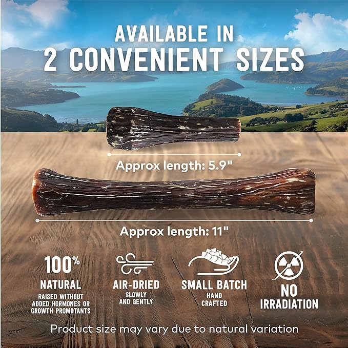 ZIWI Venison Deer Half Shank – 2-in-1 Dog Bone Chew Treat Wrapped in Beef Esophagus - All Natural, Air-Dried (2.5oz)