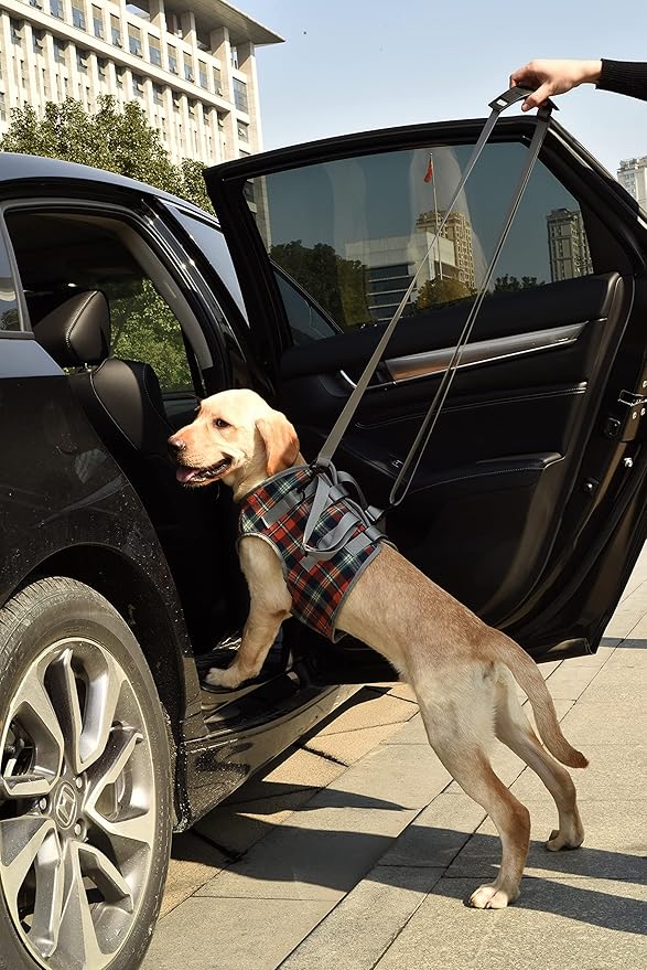 ROZKITCH Dog Lift Harness, Grid Pet Chest Support Aid Veterinarian Approved Sling for Old K9 Help with Poor Stability, Front Legs Disabled Joint Injury Elderly Arthritis ACL Rehabilitation Rehab