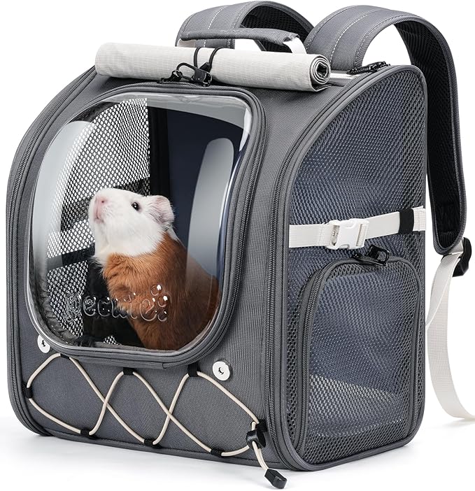 Pecute Small Pet Carrier, Breathable Small Animal Carrier with Transparent Bubble & Steel Frame, Safety Lock for Hamster, Rabbit, Bearded Dragon, Guinea Pig, Parrot, Ideal for Hiking, Vet Visits, Gray