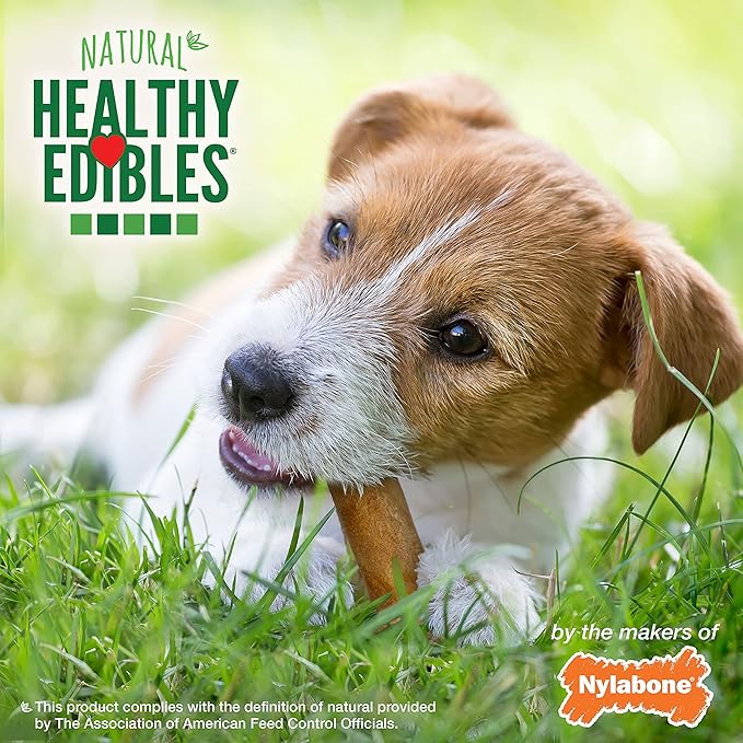 Nylabone Healthy Edibles Natural Dog Chews, Long Lasting Bones for Dogs, Roast Beef, Chicken & Bacon Flavor Dog Treats, Small (3 Count)