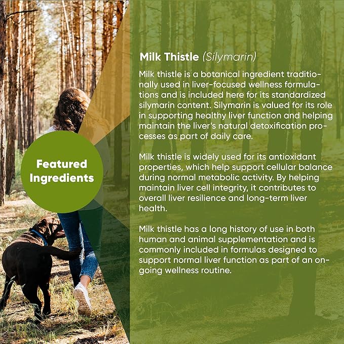 Rooted Owl Liver Support for Dogs - Natural Liver Health Supplement - Milk Thistle for Dogs - Vegetarian Capsules - 60/ct
