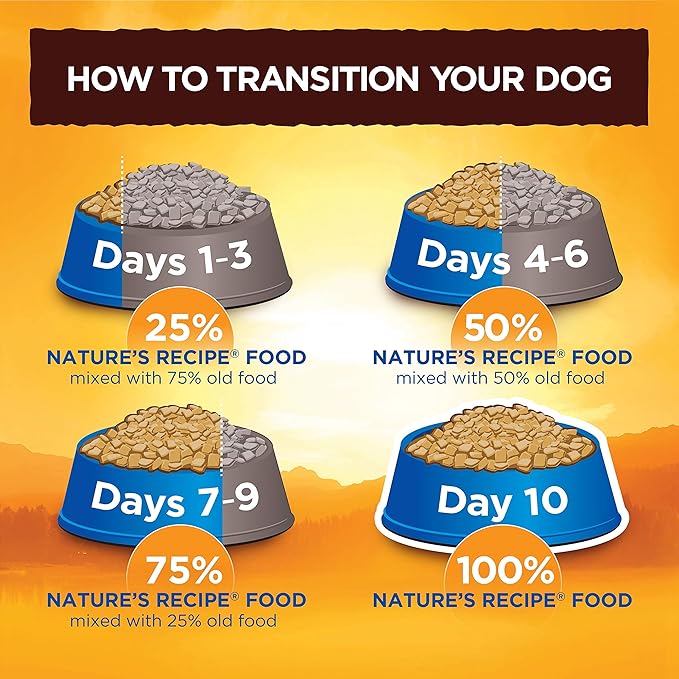 Natureâ€²s Recipe Grain Free Salmon, Sweet Potato & Pumpkin Recipe Dry Dog Food, 4 lb. Bag (Pack of 2)