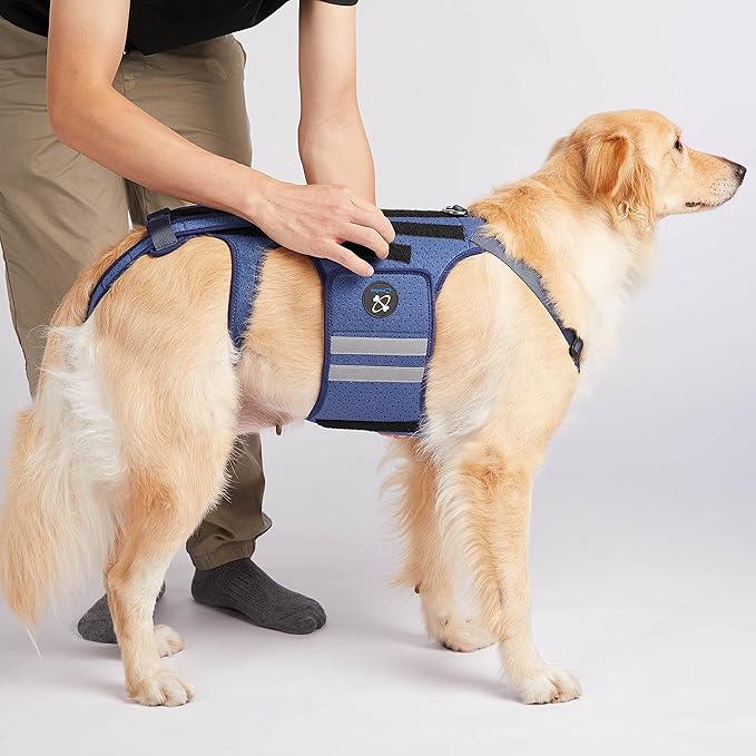 Coodeo Dog Back Brace for Dogs Arthritis, Pet Back Bracer for IVDD, Back Protector Helps Pain Relief, Surgical Recovery and Rehabilitation, Dogs Back Disease Prevention. (Blue,X-Large)