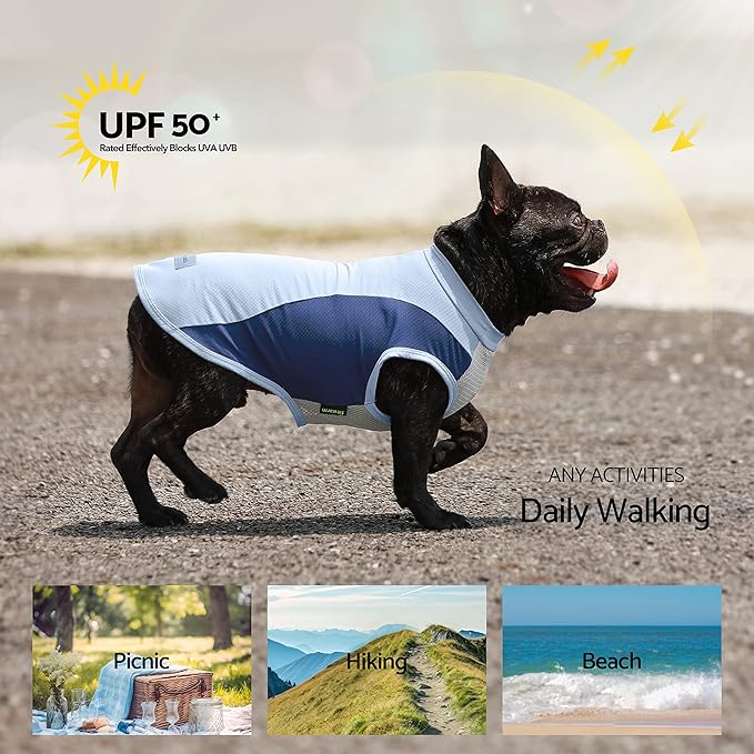 Fitwarm 2 Pack UPF 50+ UV Sun Protection Dog Shirt, Quick Dry Summer Dog Clothes for Small Dogs Boy Girl, Reflective Label, Lightweight Breathable Cooling Vest, Pet Cat Outfit, Orange, Blue, Small