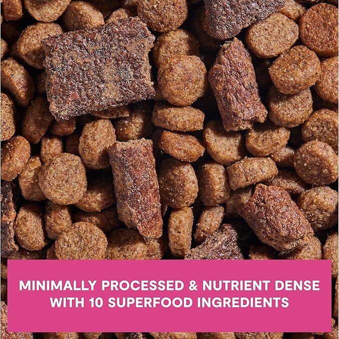 Open Farm, Epic Blend High Protein Dry Dog Food, Probiotic Coated & Bone Broth Infused Kibble with Air Dried Meat & Organs, Minimally Processed & Nutrient Dense, Salmon & Superfood Recipe, 3.5lb Bag