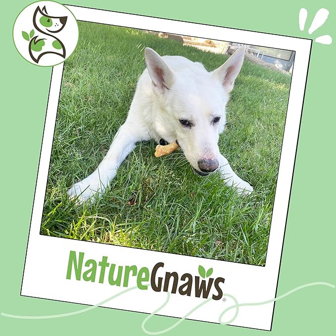 Nature Gnaws Beef Tendons for Dogs 7-11" (12 Count) - Long Lasting for Aggressive Chewers & Large Dogs - Natural Beef Jerky Dog Chew Bones - Rawhide Free