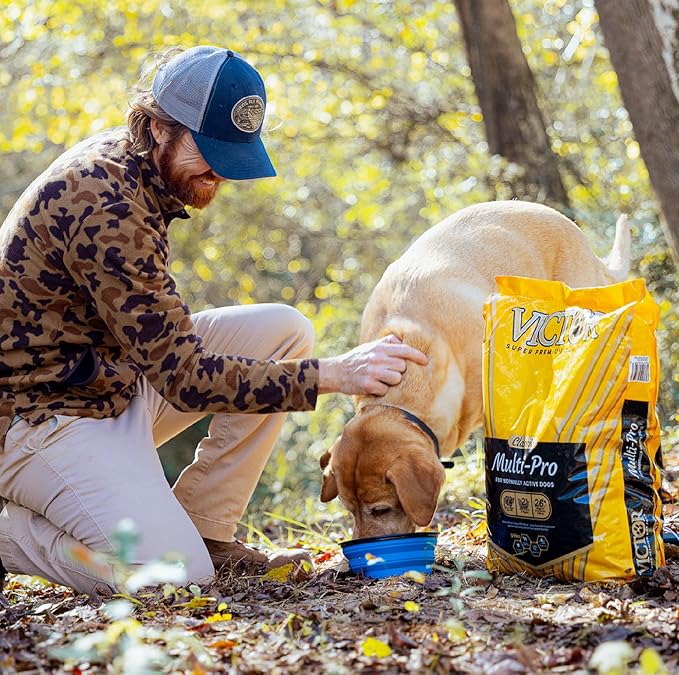 VICTOR Super Premium Dog Food – Multi-Pro Dry Canine Food – Gluten Free Dog Kibble with Beef, Chicken and Pork Protein for Normally Active Dogs – All Breeds and All Life Stages, 5 lb