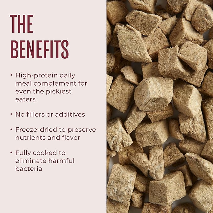 WagWell Freeze-Dried Dog Food Topper, Beef Liver Flavor | Training Treats, Food Topper, Healthy Snack for Dogs | Human Grade, Grain Free, High Protein | Made in USA | 4 oz Bag, 1 Pack