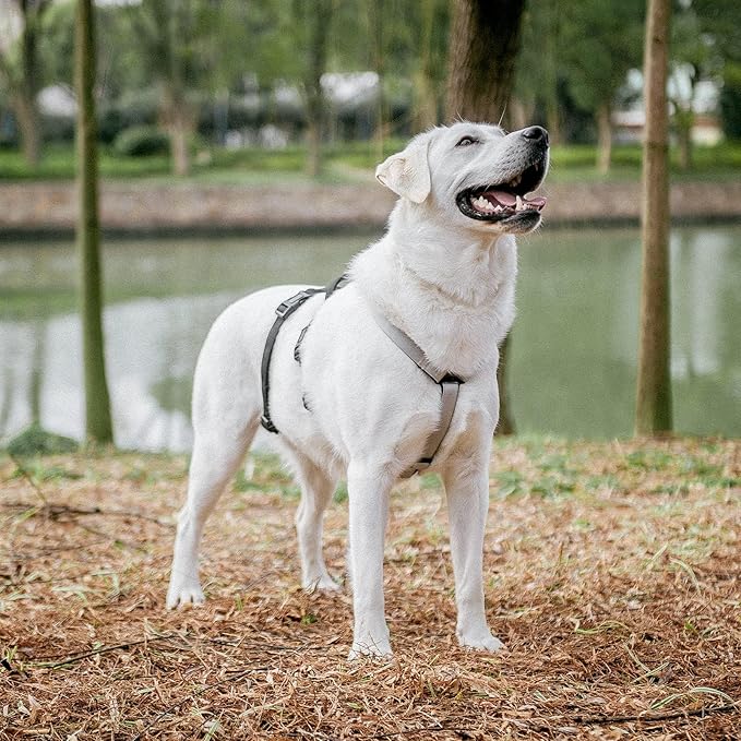 PUPTECK Escape Proof Dog Harness - No Pull Soft Padded Full Body Pet Halter Harness with Lift Handle for Small Medium Large Doggies Walking Hiking Hunting, SnowWhite & Black, XL
